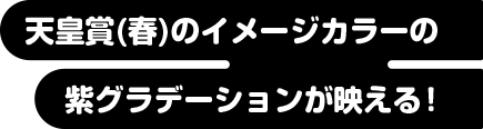 天皇賞（春）のイメージカラーの紫グラデーションが映える！