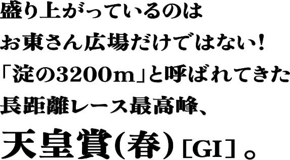 盛り上がっているのはお東さん広場だけではない！「淀の3200m」と呼ばれてきた長距離レース最高峰、天皇賞（春）[GI]